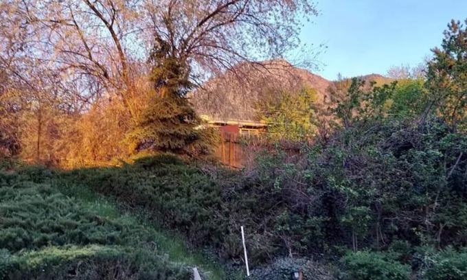 Olympus Cove Casa | Cozy 4-bedroom ski house in adorable Holladay - Alta, Snowbird, Park City