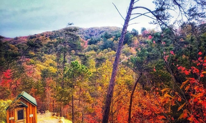 Newport Cabina | Cozy, absolutely secluded Mountain Cabin,Pet Friendly,spectacular Views,hiking
