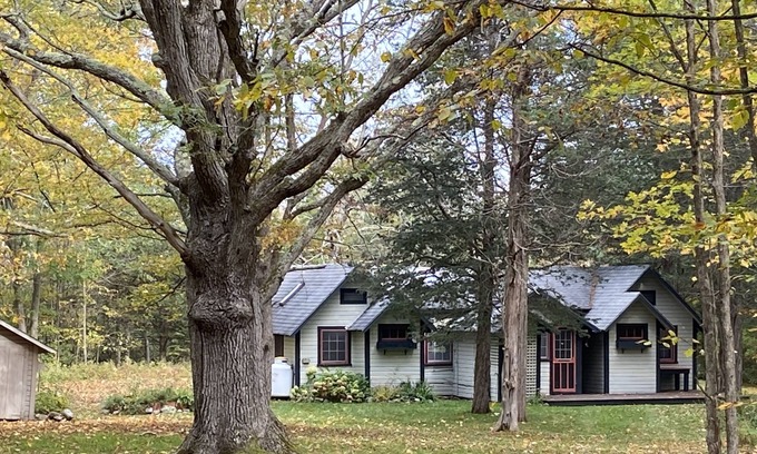 Crater Club Cabina | Cozy Adirondack Cabin w/Private Lake Access!