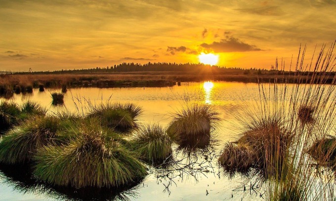 Rohren Casa | Cozy and detached holiday home/terrace/2000sqm garden/Monschau/Eifel