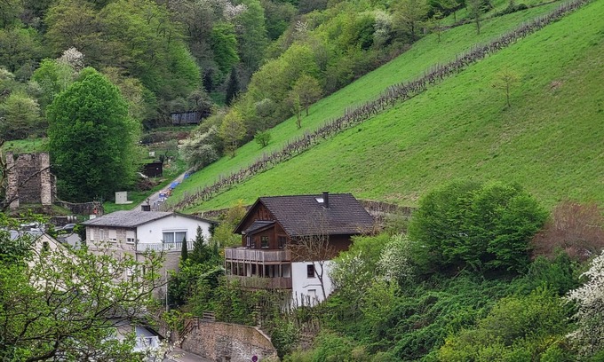 Mainz-Bingen Apartamento | Cozy apartment in the countryside