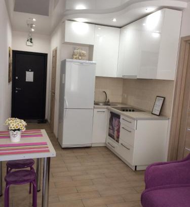 Svyatoshyns'kyi District Apartamento | Cozy apartment near the airport "Kyiv"