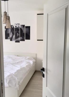 Baia Mare Apartamento | Cozy apartment