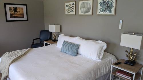 Flour Bluff Apartamento | Cozy B- condo in charming Corpus Christi with WiFi, AC near Laguna Madre