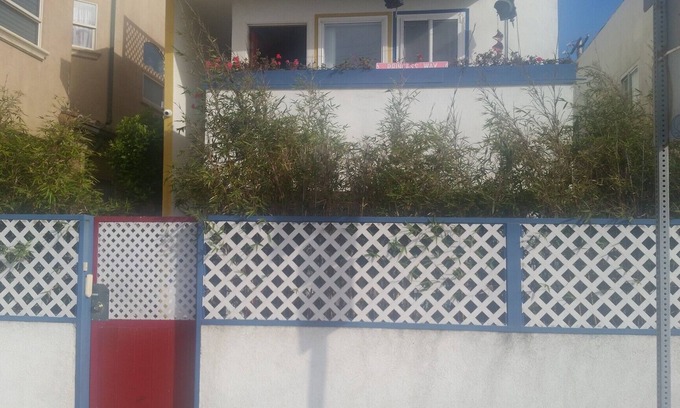 The Jungle Apartamento | Cozy Beach Apartment cerca de LAX y Silicon Beach