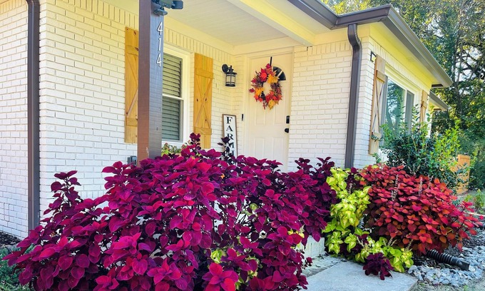 Bessemer Casa | Cozy Bessemer/McCalla Farmhouse