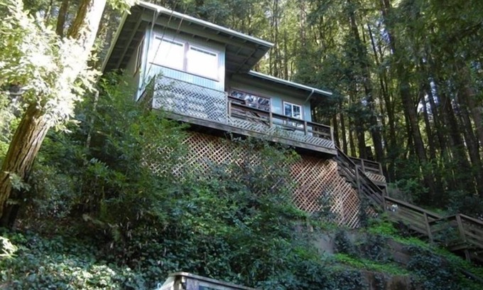 Guerneville Cabina | Acogedora cabaña en el río 20 minutos a pie hasta la ciudad 2 días mínimo