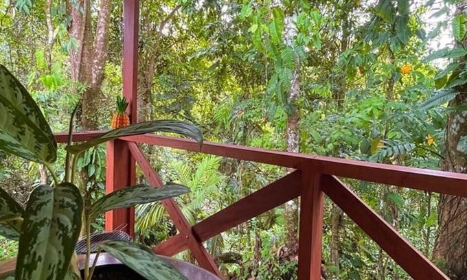 Florencia Cabina | Cabaña Acogedora en La Fortuna