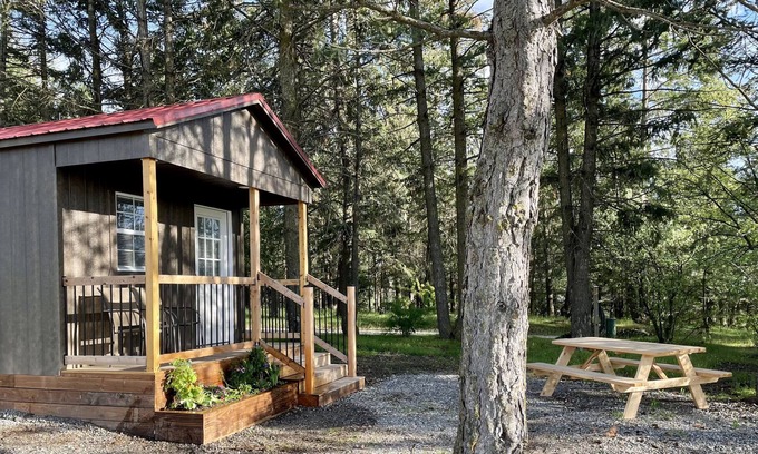 Post Falls Cabina | Cozy cabin in the trees