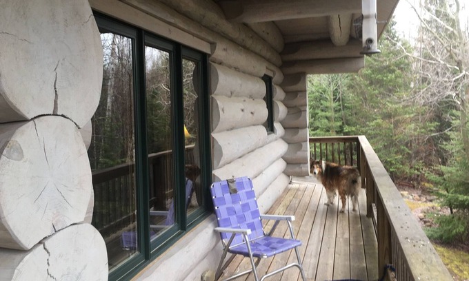 Grand Marais Cabina | Cozy cabin in the woods