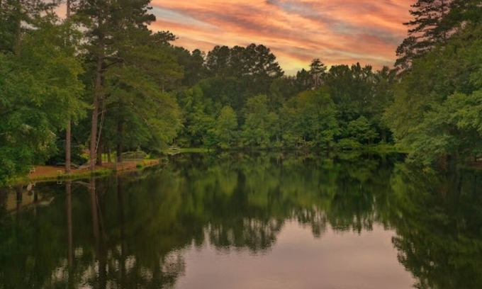Aiken Cabina | Cozy Cabin nestled by picturesque 3.4ac Lake. Close to Stableview and downtown.