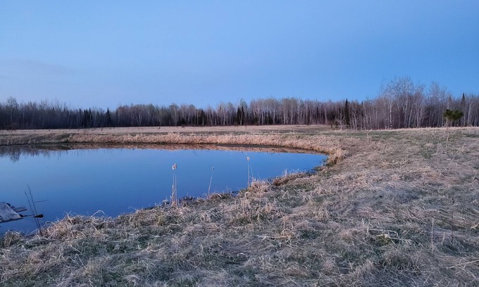 Forbes Cabina | Cozy Cabin on 40 Acres *Near Sax Zim Bog and Access to St. Louis River*