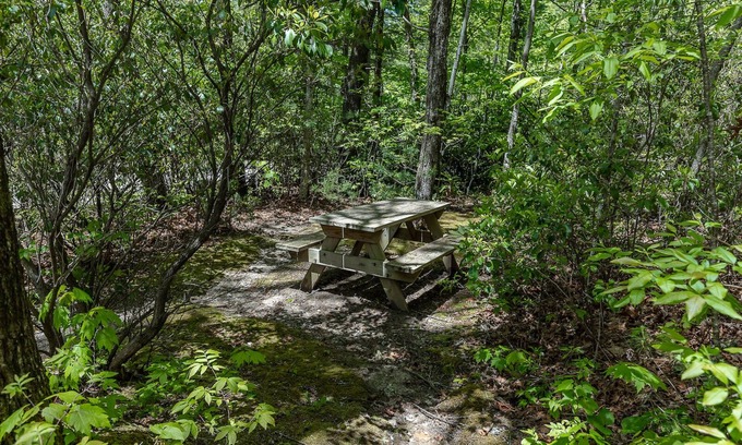 Lake Toxaway Cabina | Cozy Cabin w/ Pickleball and Tennis On Site