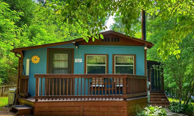 Mars Hill Cabina | Mascota amigable; Familia amable Aislado; 30 minutos a Asheville