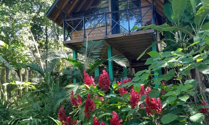 Imarui Cabina | Cozy Cabin with Private Waterfall