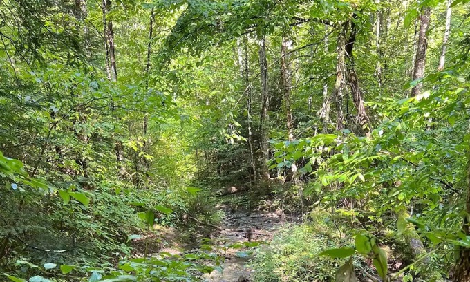 Lyndon Center Cabina | Cozy Cabin with a Stream