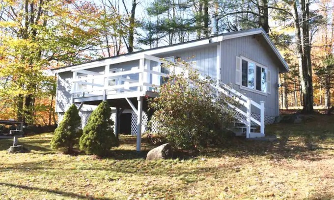 Washington Cabina | Cozy Camp in the woods surrounded by nature.!