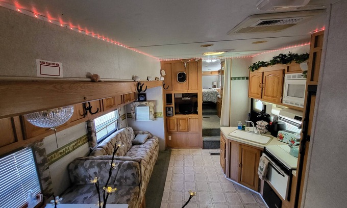 Citrus Springs Casa | Cozy Camper Under The Stars