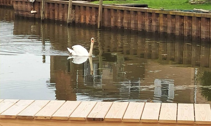 Anchor Bay Harbor Apartamento | Cozy Canal Tiny Home | Sleeps 4 | Boat Parking