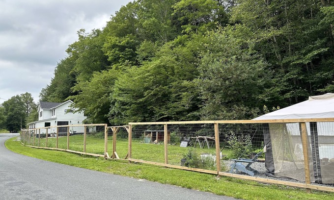 Livingston Manor Cabaña | Cozy cottage near Livingston Manor with creek and fenced-in yard. Pet-friendly!