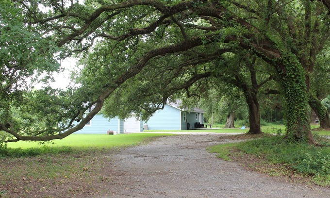 Lake Charles Cabaña | Acogedora cabaña cerca del lago (Big Lake, LA)