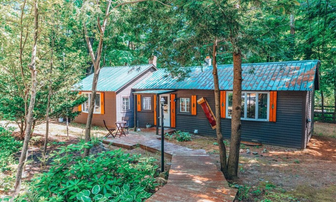 Cranmore Birches Cabina | Cozy dog friendly cabin moments from Cranmore/NOCO