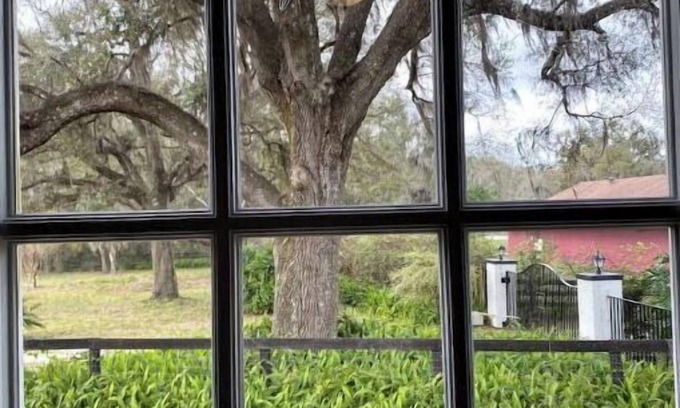 Fellowship Otro | Cozy - Dog Friendly Farmhouse near HITS, WEC & Springs