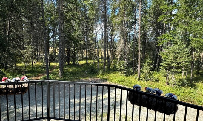 Sandpoint Casa | Cozy Escape Outside of Sandpoint