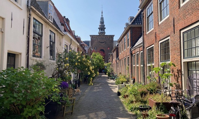 Centrum Casa | Cozy family house from 1900 in the old center of Haarlem