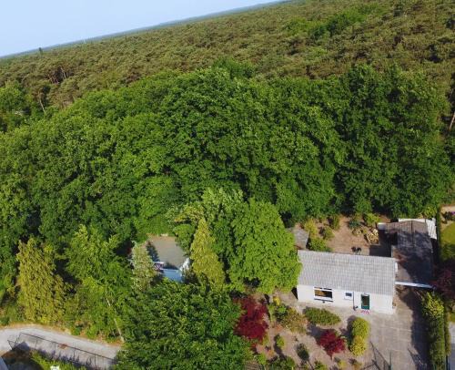 Luyksgestel Apartamento | Cozy Forest Cabin, Fenced Garden, Peace & Privacy