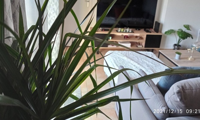 Volonne Apartamento | Cozy Appart