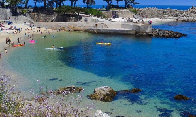 Pacific Grove Cabaña | Cozy get-away in Pacific Grove (Pet Friendly!)