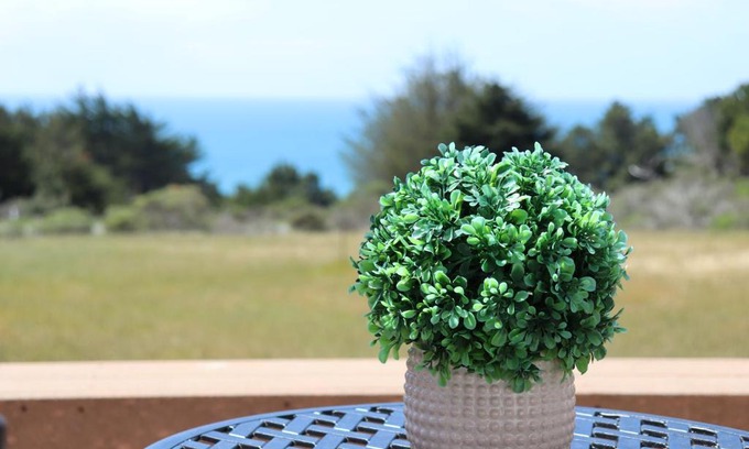 Gualala Casa | Cozy Getaway with Ocean View and Private Entrance!