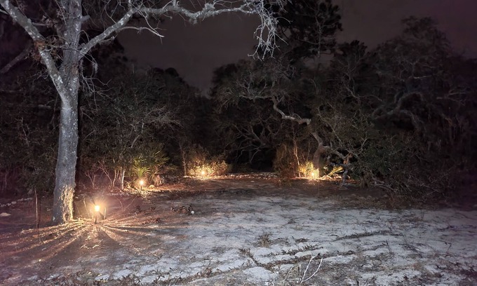 Citrus Springs Alquiler De RV | Cozy Glampsite Under The Stars
