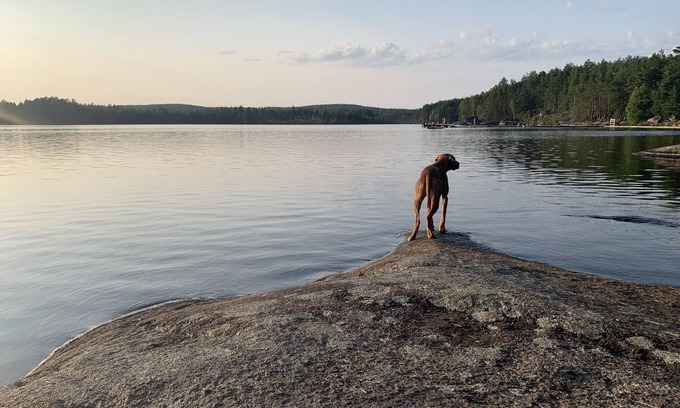 Hultsfred Municipality Casa | Cozy holiday home in beautiful Småland