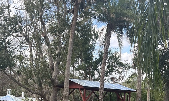 Oak Hill Casa | Cozy home half mile from Indian River. Great location for fishing and much more.