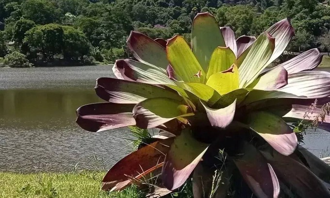 Teresopolis Cabaña | Cozy house in the middle of nature: wi fi, barbecue, fireplace