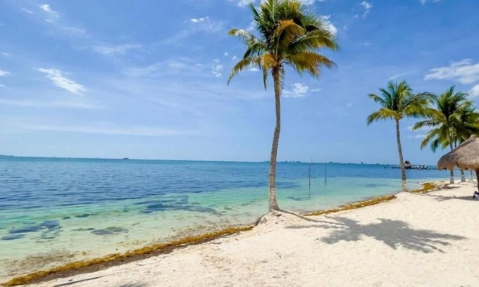 Puerto Juárez Apartamento | Cozy in hotel complex with beach