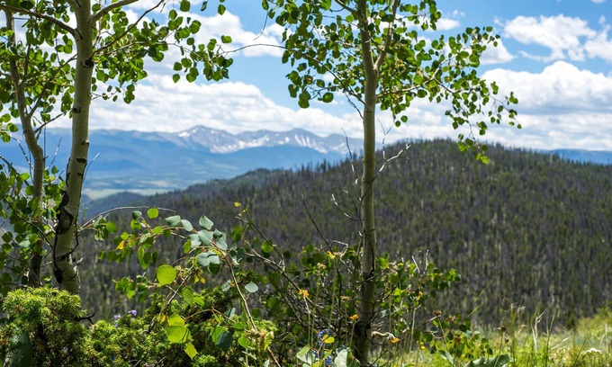 South Fork Cabina | Acogedora cabaña de alojamiento con bañeras de hidromasaje compartidas, acceso a la diversión al aire libre durante todo el año: ¡perros bien!