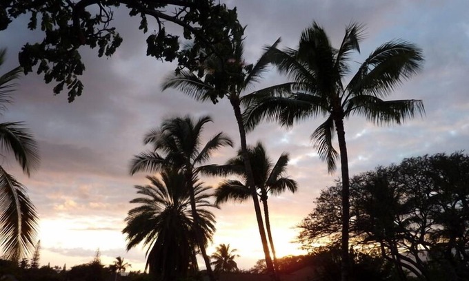 Kihei Cabaña | Acogedora 'Treehouse' de Maui con hermosas vistas y comodidades