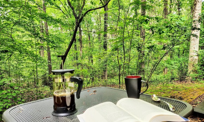 Milton Apartamento | Cozy Milton Guest Suite with Private, Wooded Patio & Kitchenette