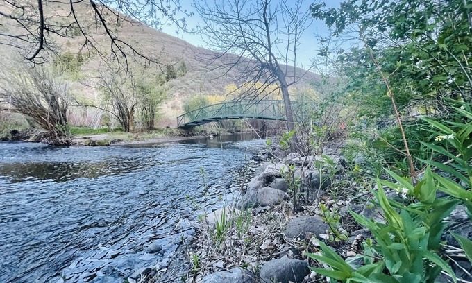 Carterville Cabina | Cozy Mountain Cabin on the River