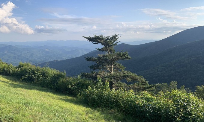 Waynesville Cabaña | Cozy Mountain Cottage near Downtown