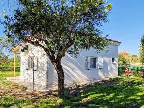 Pyrgos Casa | Cozy Owl's Studio Home