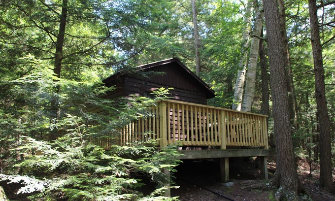 Saranac Lake Cabina | Acogedora cabaña para mascotas para dos - 3 millas de Saranac Lake - acceso a lago