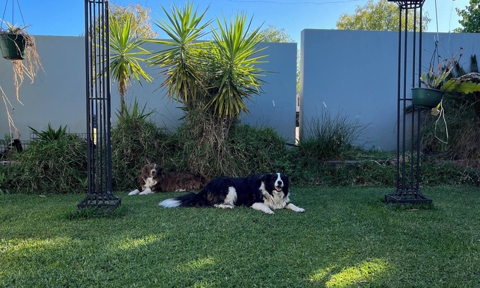 Dubbo Casa | Cozy Private Room - Twin Bedroom with Private Garden - Pet Friendly
