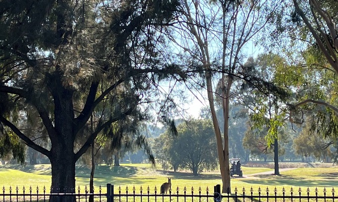 Dubbo Casa | Cozy Private Room with Secured Fenced Garden. Close to the Zoo. Pet Friendly!