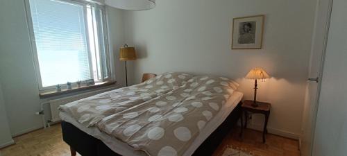 Kajaani Apartamento | Cozy renovated flat in Kajaani center (alv. vähennyskelpoinen)