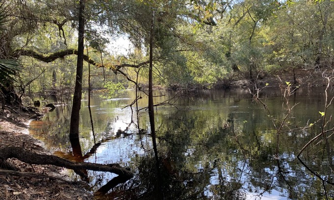 Webster Casa | Cozy river front retreat on beautiful Withlacoochee River. Near theme parks.