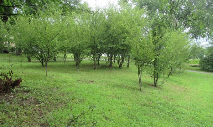Concord Apartamento | Cozy Studio Country Peaceful Charm Concord 2 Minute to Cabarrus Arena